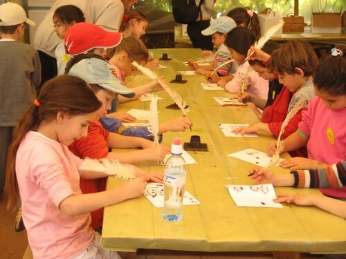 עולם האווז- מהביצה לאפרוח